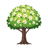 spring tree blossoming white flowers green buds