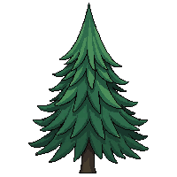 spruce tree medium green dense conical shape