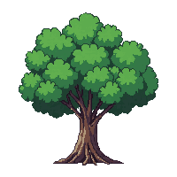 summer tree full dense green canopy lush peak