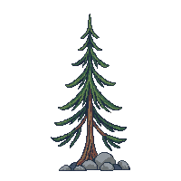 tall thin pine minimal branches sparse alpine