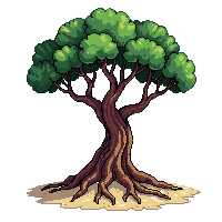 tree roots surface spreading large gnarled brown