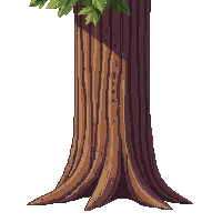 tree trunk section vertical bark brown tall