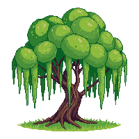 willow tree drooping green branches hanging graceful