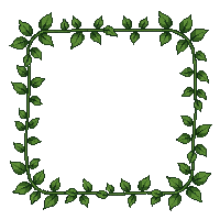 vine frame green leaves wrapped border