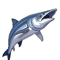 Underwater Barracuda Silver Fast Predator Teeth — free pixel art sprite from Underwater
