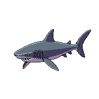 underwater hammerhead shark gray wide head predator
