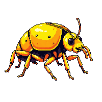 sulfur beetle yellow armored toxic insect