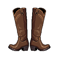 wester boots spurs cowboy boots 002 2026 03 30T00 37 17