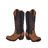 wester boots spurs cowboy boots 077 v6 2026 03 30T00 37 17