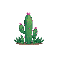 wester cactus plant desert plant 015 2026 03 30T00 37 17