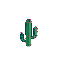 wester cactus plant desert plant 030 v2 2026 03 30T00 37 17