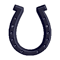 wester horseshoe lucky iron shoe 007 2026 03 30T00 37 17