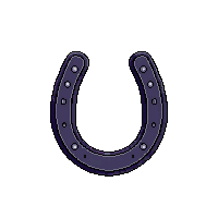 wester horseshoe lucky iron shoe 037 v3 2026 03 30T00 37 17