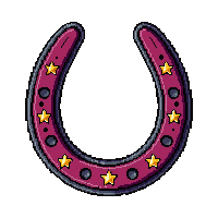 wester horseshoe lucky iron shoe 052 v4 2026 03 30T00 37 17