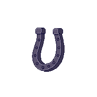 wester horseshoe lucky iron shoe 097 v7 2026 03 30T00 37 17