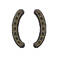 wester horseshoe lucky iron shoe 112 v8 2026 03 30T00 37 17