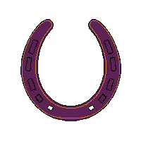 wester horseshoe lucky iron shoe 142 v10 2026 03 30T00 37 17