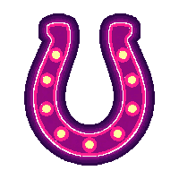 wester horseshoe lucky iron shoe 157 v11 2026 03 30T00 37 17