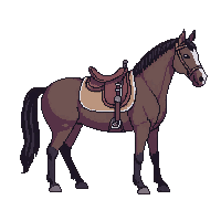 wester saddle horse riding seat 104 v7 2026 03 30T00 37 17