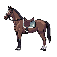 wester saddle horse riding seat 149 v10 2026 03 30T00 37 17