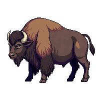 wester buffalo bison wild animal 010 2026 03 30T00 37 17