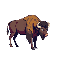 wester buffalo bison wild animal 025 v2 2026 03 30T00 37 17