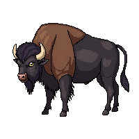 wester buffalo bison wild animal 040 v3 2026 03 30T00 37 17