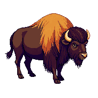wester buffalo bison wild animal 055 v4 2026 03 30T00 37 17