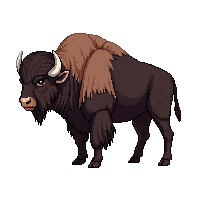 wester buffalo bison wild animal 085 v6 2026 03 30T00 37 17
