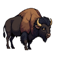 wester buffalo bison wild animal 115 v8 2026 03 30T00 37 17