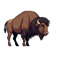 wester buffalo bison wild animal 130 v9 2026 03 30T00 37 17