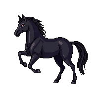 wester horse black dark stallion 092 v7 2026 03 30T00 37 17