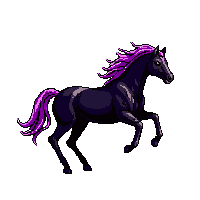 wester horse black dark stallion 152 v11 2026 03 30T00 37 17