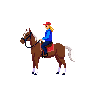 wester horse brown riding horse 016 v2 2026 03 30T00 37 17