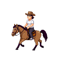 wester horse brown riding horse 031 v3 2026 03 30T00 37 17