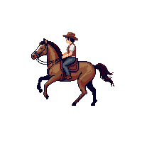 wester horse brown riding horse 136 v10 2026 03 30T00 37 17