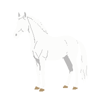 wester horse white pale mare 063 v5 2026 03 30T00 37 17