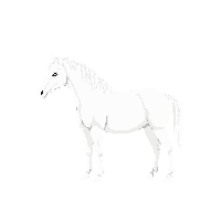 wester horse white pale mare 093 v7 2026 03 30T00 37 17