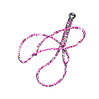 wester lasso rope catching rope 155 v11 2026 03 30T00 37 17