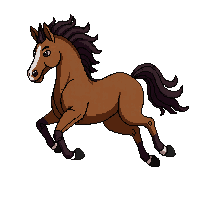 horse brown stallion galloping muscular