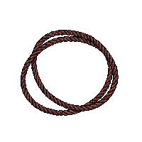 lasso rope coiled loop cowboy leather