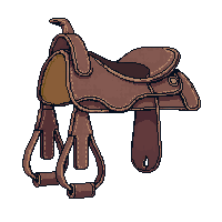 saddle leather brown ornate stirrups