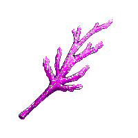 coral wand pink ocean curved organic shape