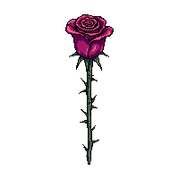 thorn wand dark rose thorns wrapped sharp