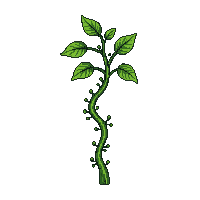 vine wand wrapped green living wood budding