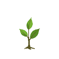 word garden 4564 stage 07