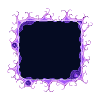 word garden 4392 tile shadow trim